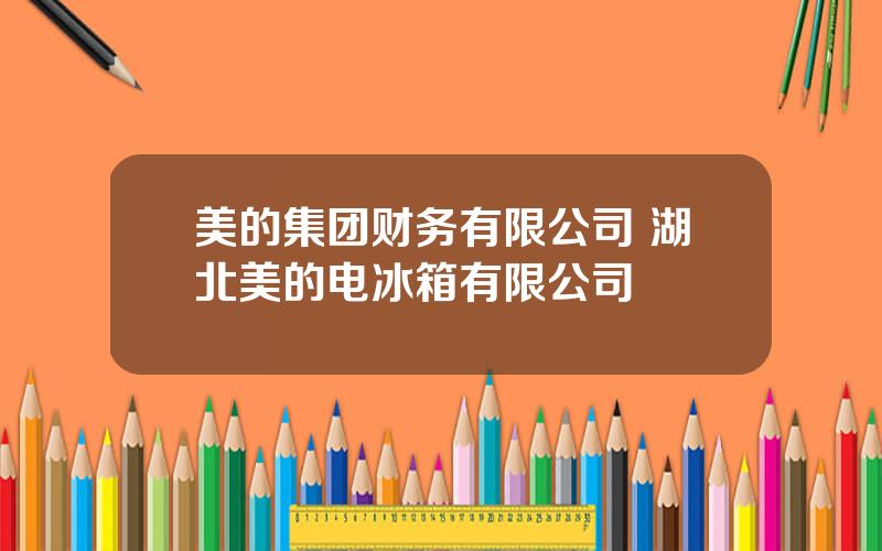 美的集团财务有限公司 湖北美的电冰箱有限公司